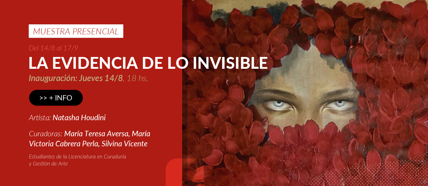 banner home Evidencia invisible